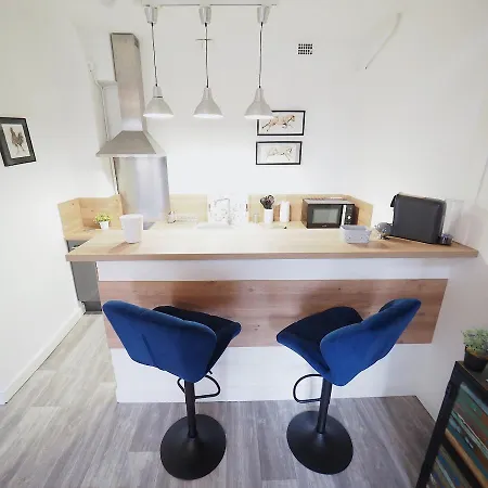 Le Plaisance - Face Au Parc - Duplex - Balcon Апартаменты Виши