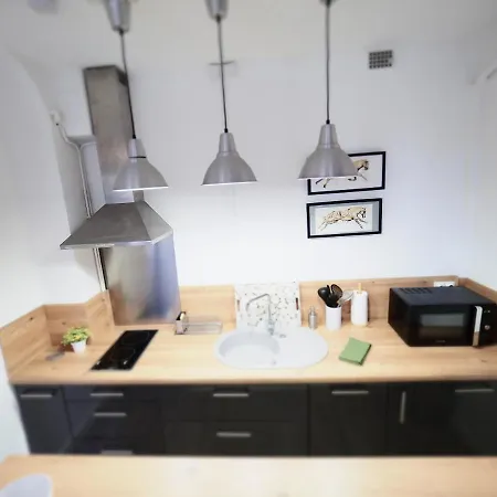 Le Plaisance - Face Au Parc - Duplex - Balcon